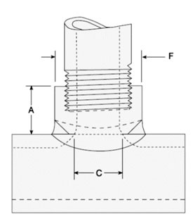 Coupolets Dimensions