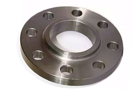 Stainless Steel 317, 317L Forged Flanges