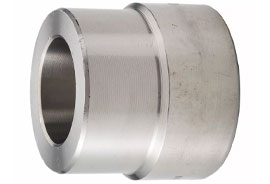 Stainless Steel 317, 317L Socket Weld Reducer Insert