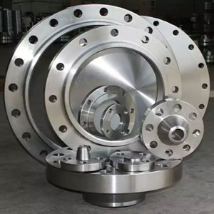 Stainless Steel 304 Flanges Suppliers in India