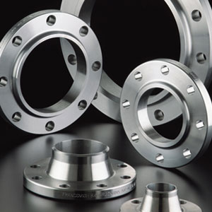 Super Duplex Steel 2507 Flanges Suppliers in India