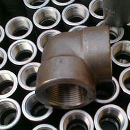 Titanium Steel Forged Fittings Suppliers in Mumbai